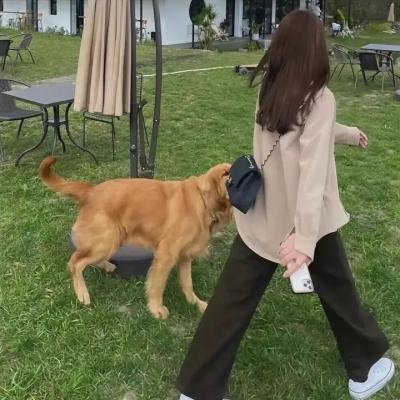 灰姑娘的玻璃手机